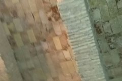 IMG-20170213-WA0021